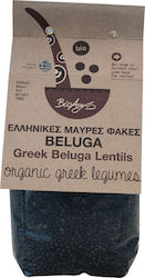 Βιο Αγρός Φακές Belunga Bio 300gr