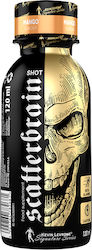 Kevin Levrone Scatterbrain Shot 120ml Mango