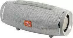 T&G Bluetooth Speaker 20W with Radio Silver