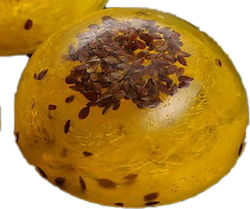 Fiore Domenica Săpun De Slăbire 100gr Fiore Domenica Săpun De Slăbire 100gr
