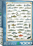 Freshwater Fish Puzzle 2D 1000 Bucăți