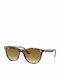 Ray Ban Wayfarer II Ochelari de soare cu Maro Broască țestoasă Din plastic Rame și Maro Ochelari de soare Lentilă RB2185 133451