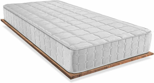 Orion Strom 001 Basic Halb-Doppel Orthopädisch Matratze 120x190x18cm