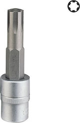 Force Ribe Allen Long 1/2'' Socket Long Walnut ...