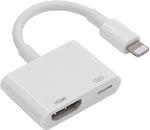Anga Convertor Fulgerul masculin în HDMI / USB-C feminin Alb (371-147)