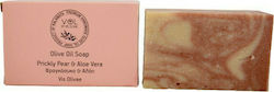 Vis Olivae Prickly Pear & Aloe 90gr