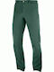 Salomon Wayfarer Straight Men's Hiking Long Trousers Green