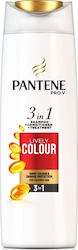 Pantene Lively Colour Shampoo Color Protection for Coloured Hair 250ml