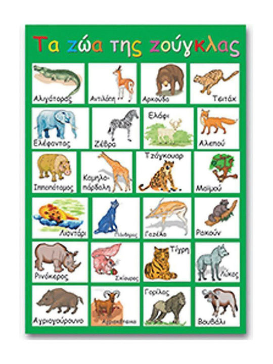 Next Εκπαιδευτική Παιδική Αφίσα Τα Ζώα Της Ζούγκλας 50x70εκ.