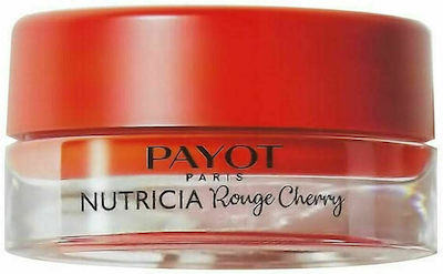 Payot Nutricia Lip Butter Rouge Cherry 6gr