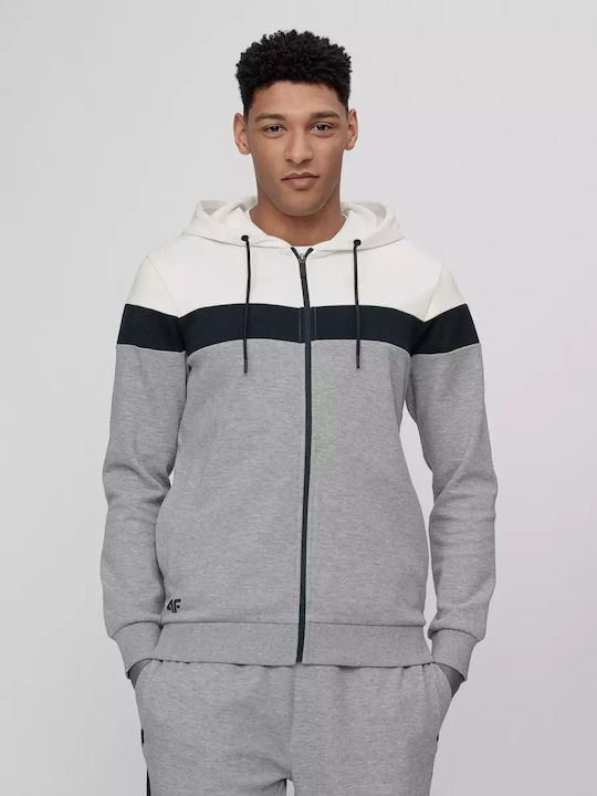 4F Herren Sweatshirt Jacke mit Kapuze und Taschen Gray