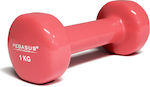 Pegasus B-7900 Vinyl Dumbbell 1 x 1kg