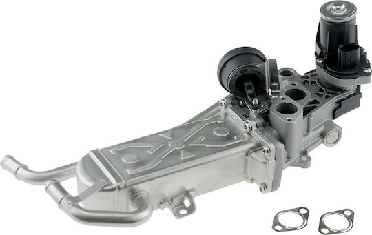 NTY Car EGR valve Car Engine Parts EGR Valve για Seat Ibiza Skoda Fabia Volkswagen Polo
