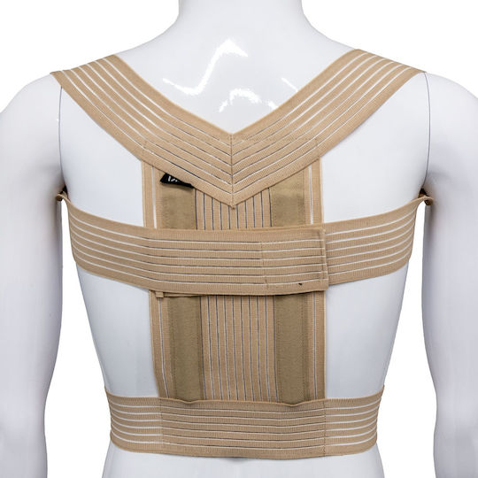 Vita Orthopaedics Elastische Kyphosejacke Schiene Kofferraum in Beige Farbe