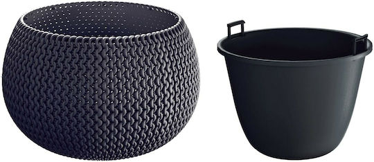 Prosperplast Splofy Bowl Planter cm Pot Plastic 29x29x20cm.
