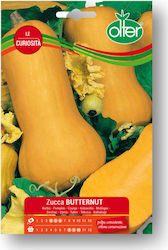 Dovleac Butternut Seed | 1 buc