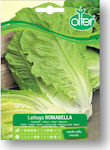 Lettuce Romabella Seed | 1 pcs