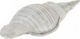 JK Home Decoration Decorative Seashell made of Ceramic Material 17x11x34cm 1pcs