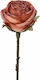 Red Rose with Branch 30cm - 28973989