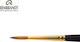 Royal Talens Rembrandt Pure Kolinsky Series Round Paint Brush No9
