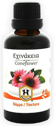 Herbstore Tincture Coneflower Tincture Echinacea 50ml