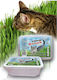 Certech Pet Grass Seed Grass Cat DLZCCHKSK0001