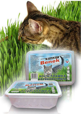 Certech Pet Grass Seed Iarbă pentru Pisici DLZCCHKSK0001