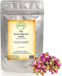 Nostos Pure Flower Rose Pink 100gr