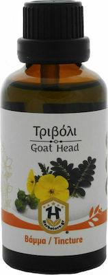 Herbstore Βάμμα Τριβόλι 50ml