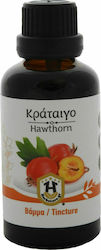 Herbstore Βάμμα Βάμμα Κράταιγο 50ml Herbstore Βάμμα Βάμμα Κράταιγο 50ml