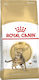 Royal Canin Bengal Adult Dry Adult Cat Food for Gastrointestinal Disorders with Poultry 10kg