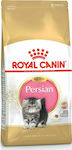 Royal Canin Persian Kitten Dry Food for Juvenile Cats with Poultry 10kg