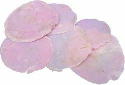 CAPIZ DECORATIVE SHELLS 250GR. (PINK)