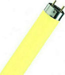 Osram Fluorescent Lamp for Socket G13 with Shape T8 36W Yellow