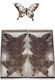 JK Home Decoration Великденска Пеперуда Текстилна Кафява Комплект 12 Бройки