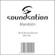 Soundsation Mandolin Singles Single String 80/20 Bronze for Mandolin 14" A (La)