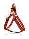 Pet Interest Dog Harness Stripes Soft Filling Orange Medium 20mm x 51-66cm 3235-NM