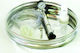 Biofan Schwimmend gelagerter Deckel 500Es
