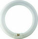 Osram Leuchtstofflampe mit Form T9 32W
