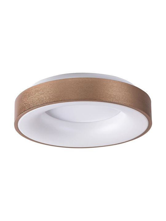 Rabalux Carmella Classic Metallic Ceiling Mount Light with Integrated LED in Gold color 38pcs