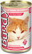 Bundy Adult Wet Food for Adult Cats In Can with...