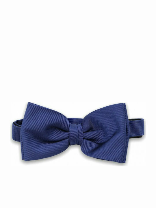 Mătase Bow Tie Set albastru