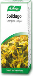 A.Vogel Solidago Komplex Tropfen 50ml A.Vogel Solidago Komplex Tropfen 50ml