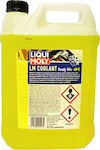 Liqui Moly LM Coolant Ready for Use Engine Coolant for Car -40°C Yellow 5lt