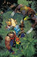 X-Men Blue Vol. 29