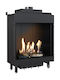 Kratki Leo 76 62 G31 37 MBAR Kaminofen Gas Warmluft 5.1kW Gerade mit fester Tür