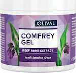 Olival Comfrey Gel Moisturizing Body Gel 250ml