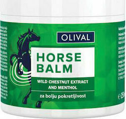 Olival Horse Balm Feuchtigkeitsspendendes Balsam Körper 250ml