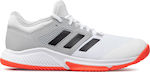 Adidas Court Team Bounce Ανδρικά Αθλητικά Παπούτσια Βόλλεϊ Λευκά
