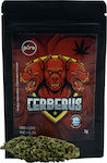 Royal Hemp Pure Cerberus Cannabis Flower CBD 22% 3gr